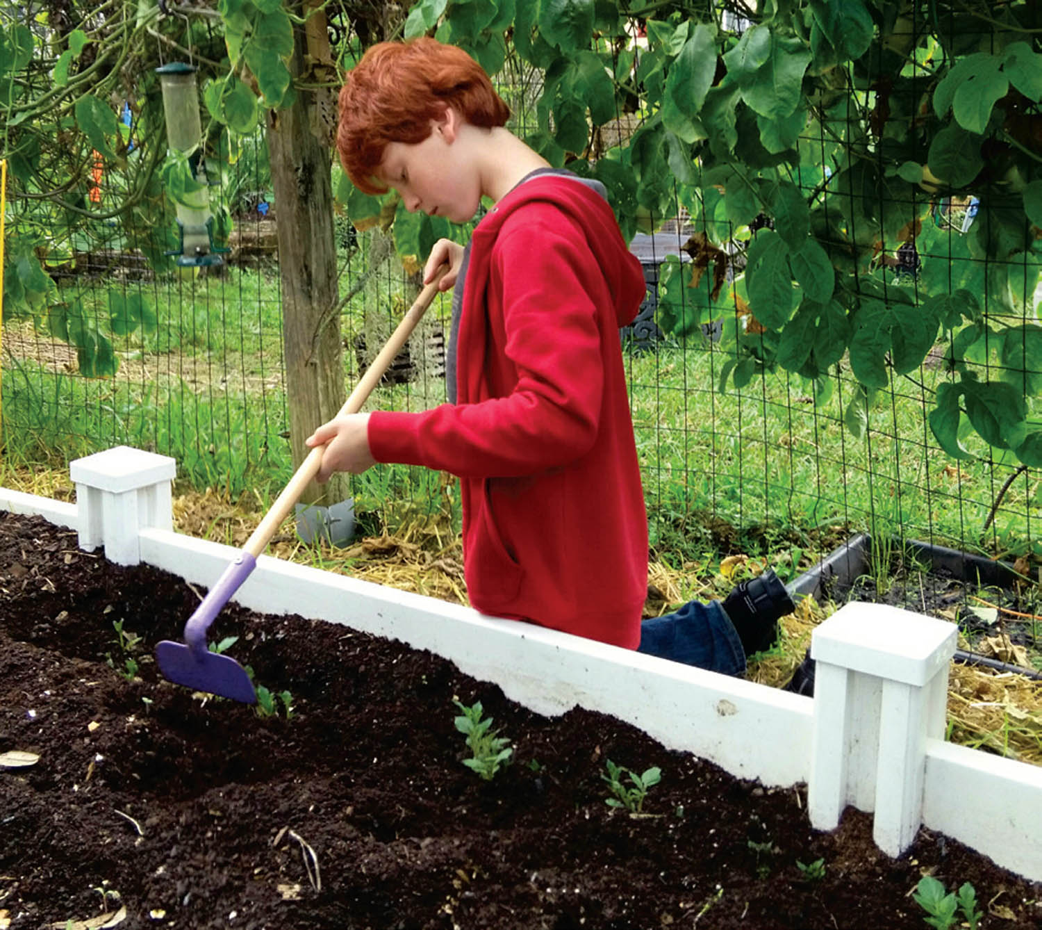 When The iGeneration Gardens